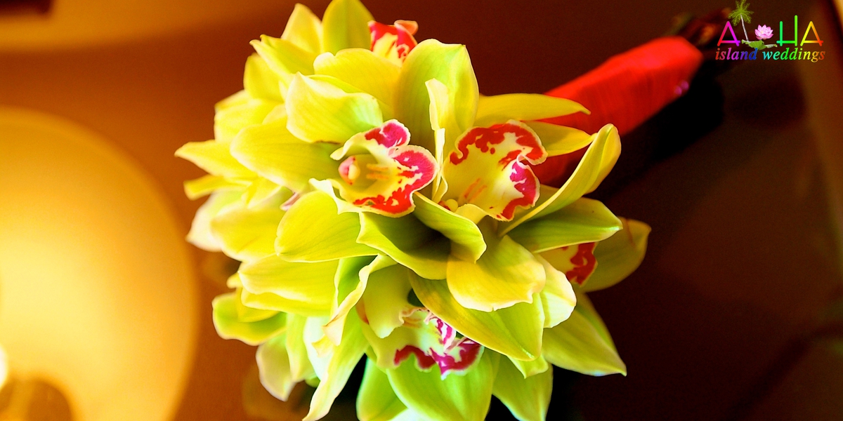 nina and her wedding bouquet of green orchids